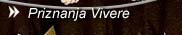 Priznanja Vokalne skupine Vivere